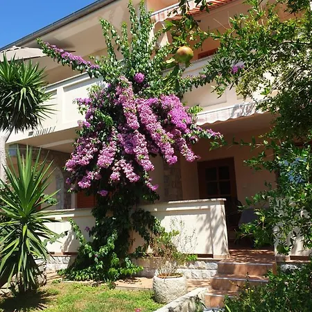 Apartments Davorka Banjol Exterior photo