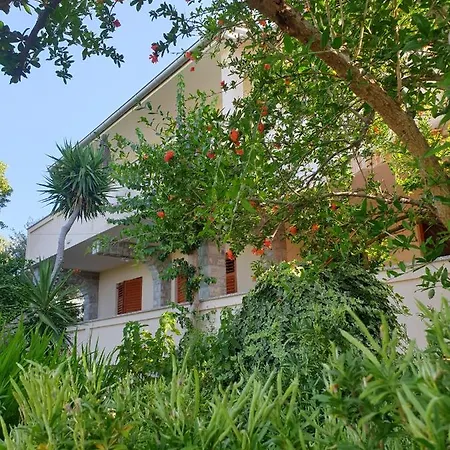 Apartments Davorka Banjol Exterior photo
