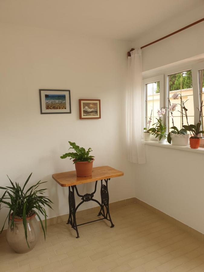 Davorka Apartment Banjol